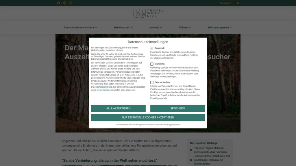Screenshot of backlink travelworklive.de