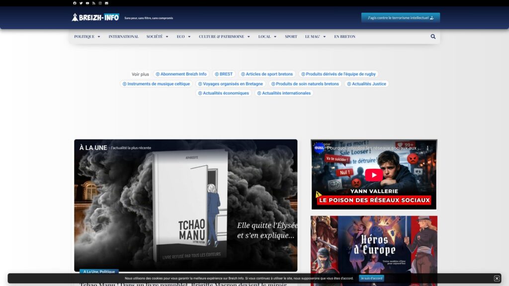 Screenshot of backlink breizh-info.com