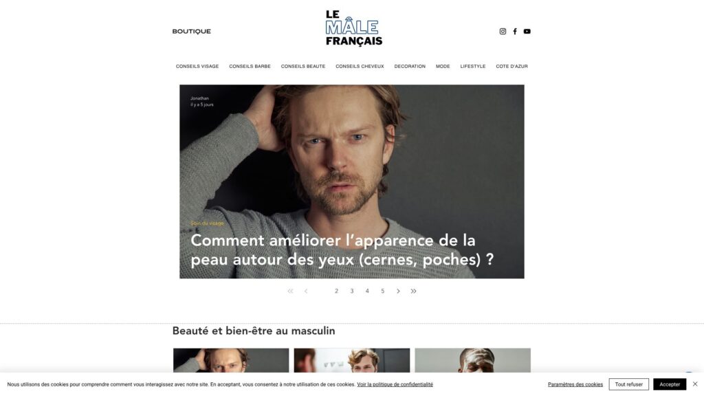 Screenshot of backlink lemalefrancais.com